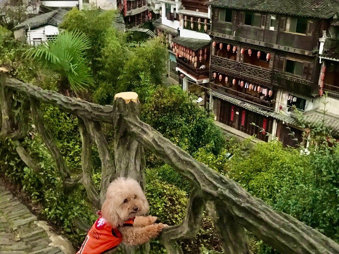 理坑-婺源县必去景点