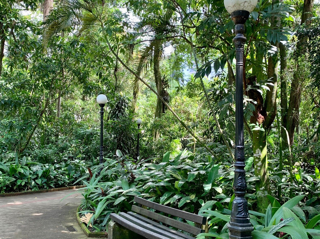 Orchid Garden-桑托斯必去景点