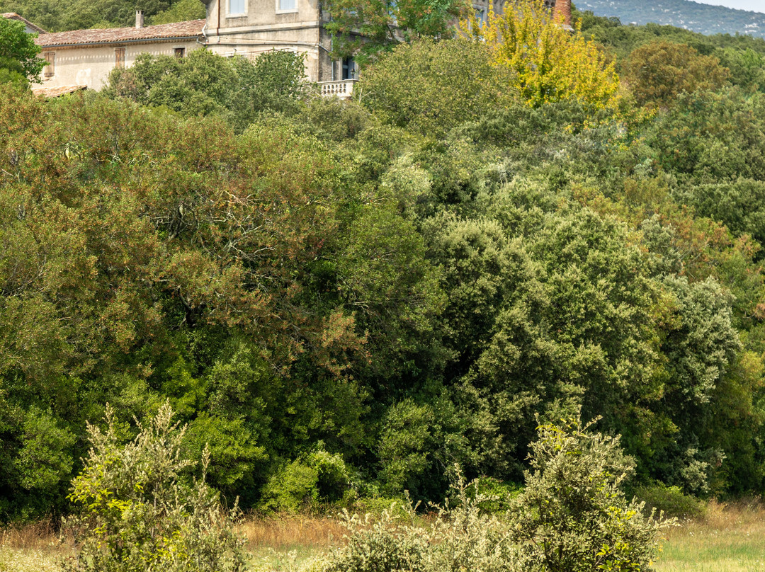 Au Château de Villarel