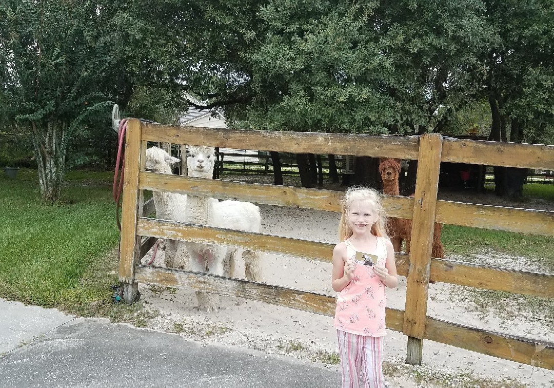 Funny Farm Alpacas-Lecanto必去景点