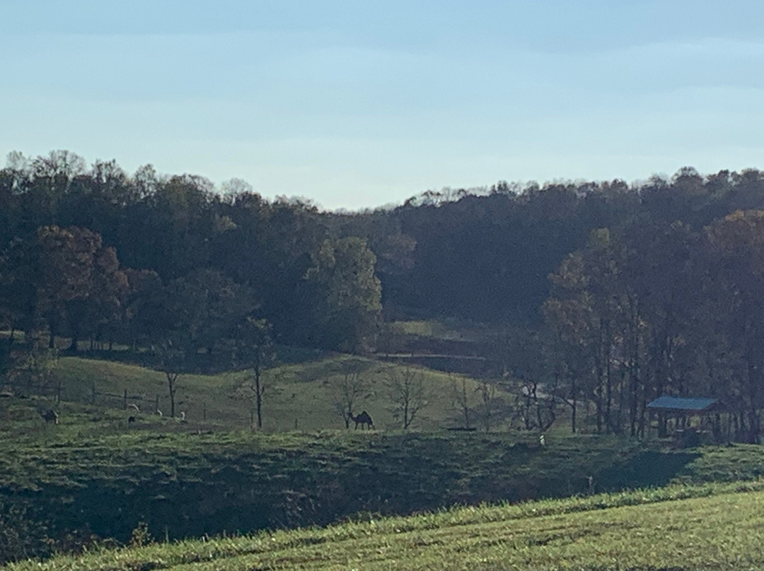 Great Valley Farm Brewery-天然桥必去景点
