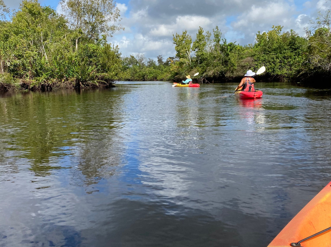 Kayak Eco Tours景点图片