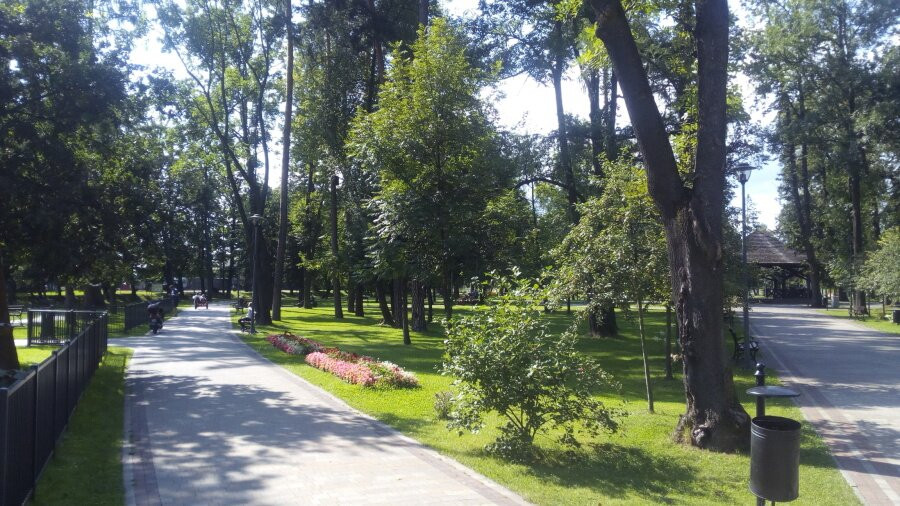 The City Park. Adam Mickiewicz景点图片