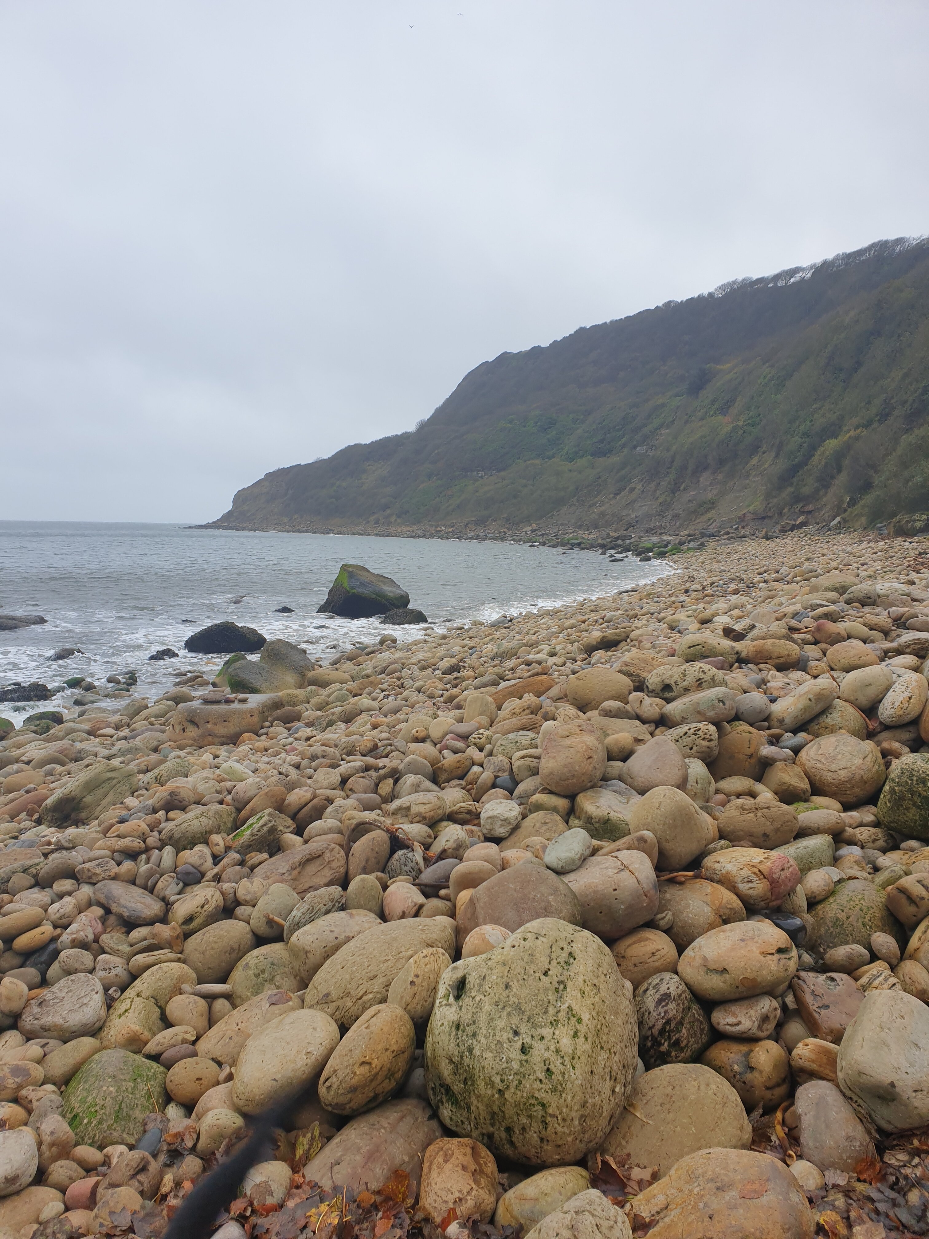 The Hayburn Wyke Inn-官方