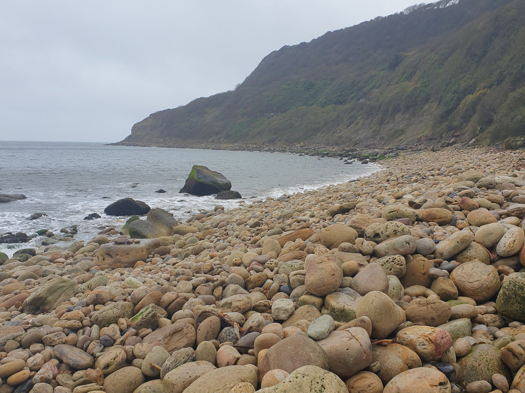 The Hayburn Wyke Inn主图