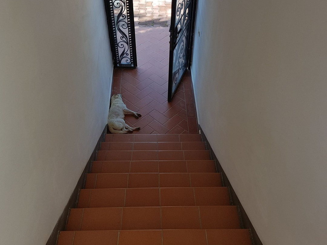 Hotel Jerolda Vlore主图