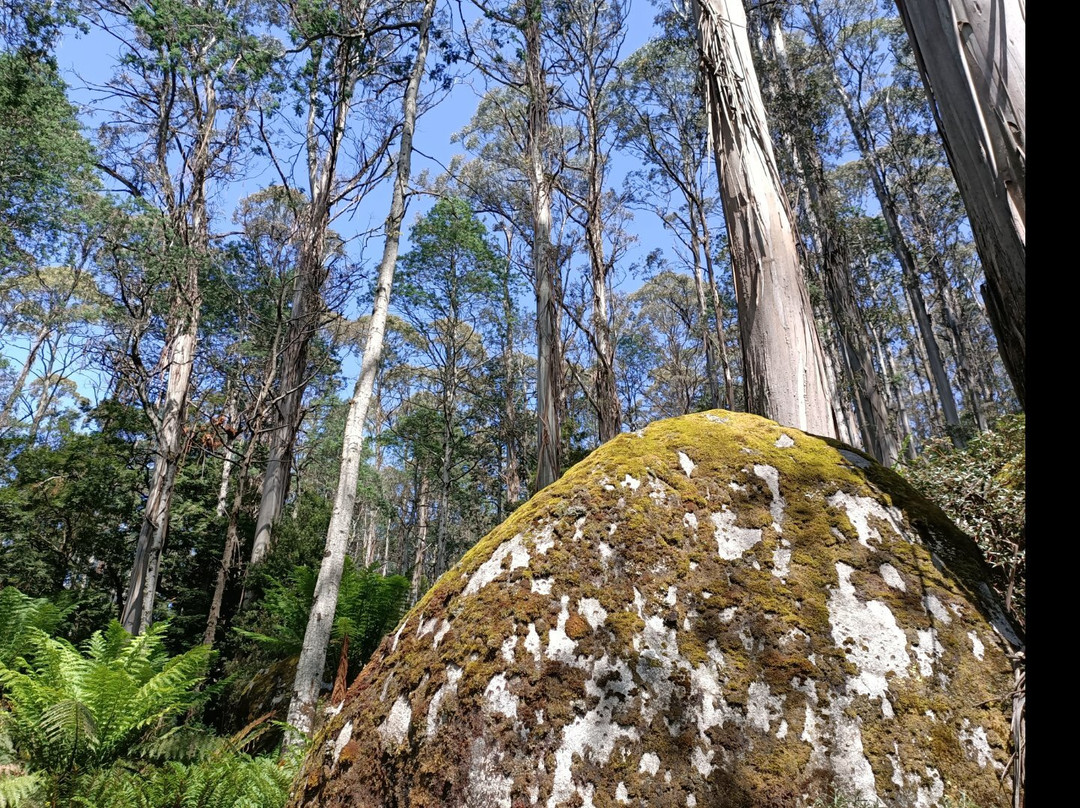 Baw Baw National Park-Walhalla必去景点