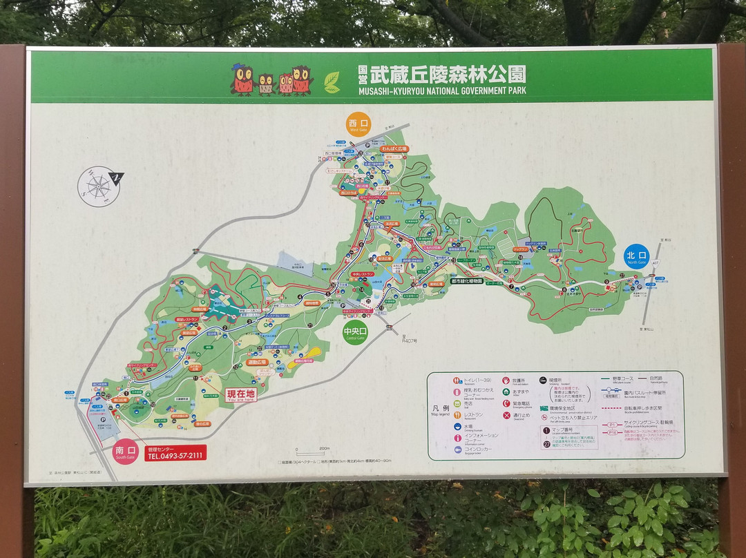 Musashi Kyuryo National Government Park-滑川町必去景点