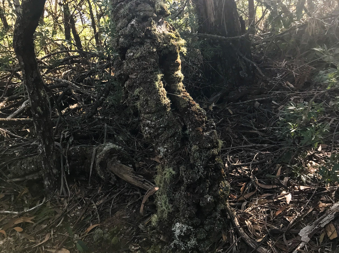 Sublime Point Lookout-鲁拉镇必去景点