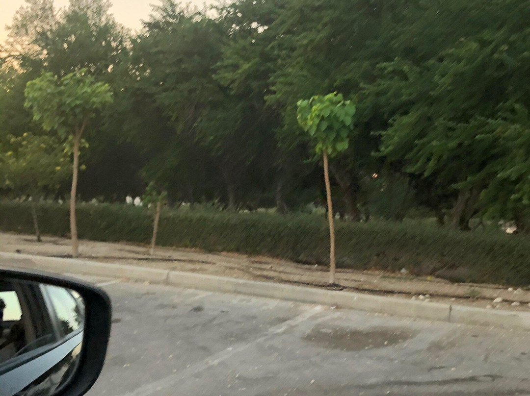 Al Nakheel Beach-朱拜尔必去景点