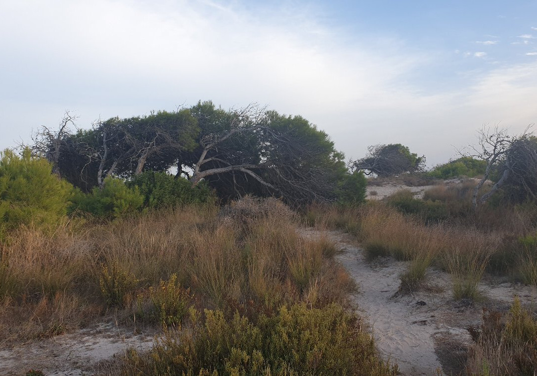 Parque Regional Salinas景点图片