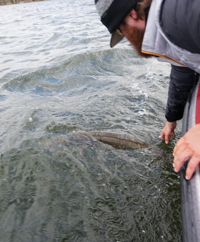 Outright Angling-Walker必去景点