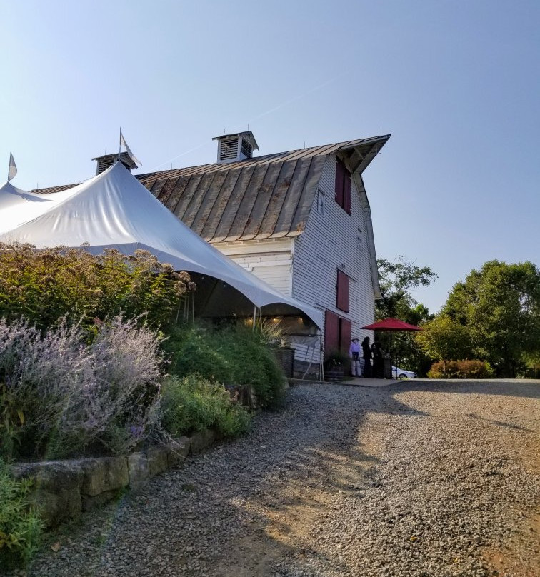 Blenheim Vineyards-夏洛茨维尔必去景点