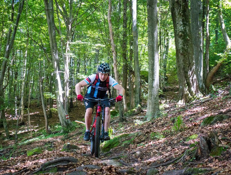 Landhotel Lindenhof主图