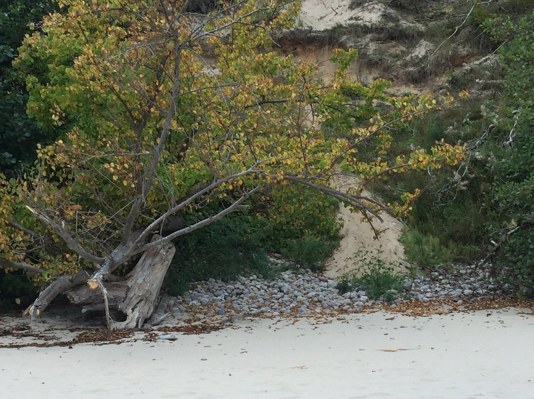 Knäbäckshusens Strand-Simrishamn必去景点