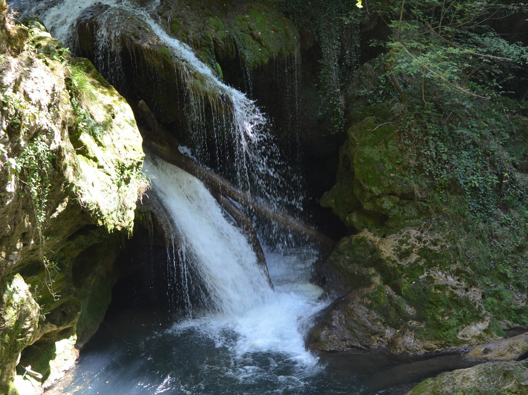 La Vaioaga Waterfall景点图片