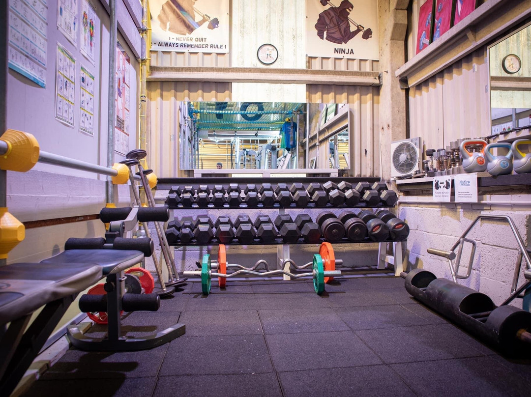 Ninjardan's Obstacle Course景点图片