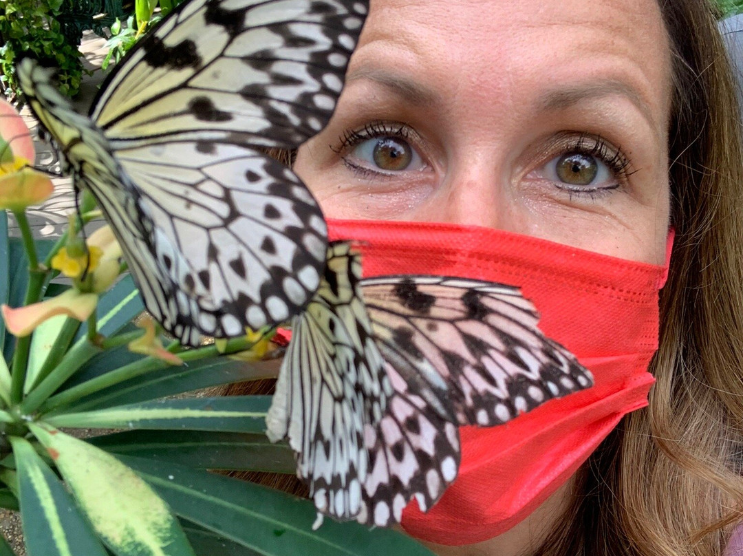 蝴蝶热带雨林-盖恩斯维尔必去景点