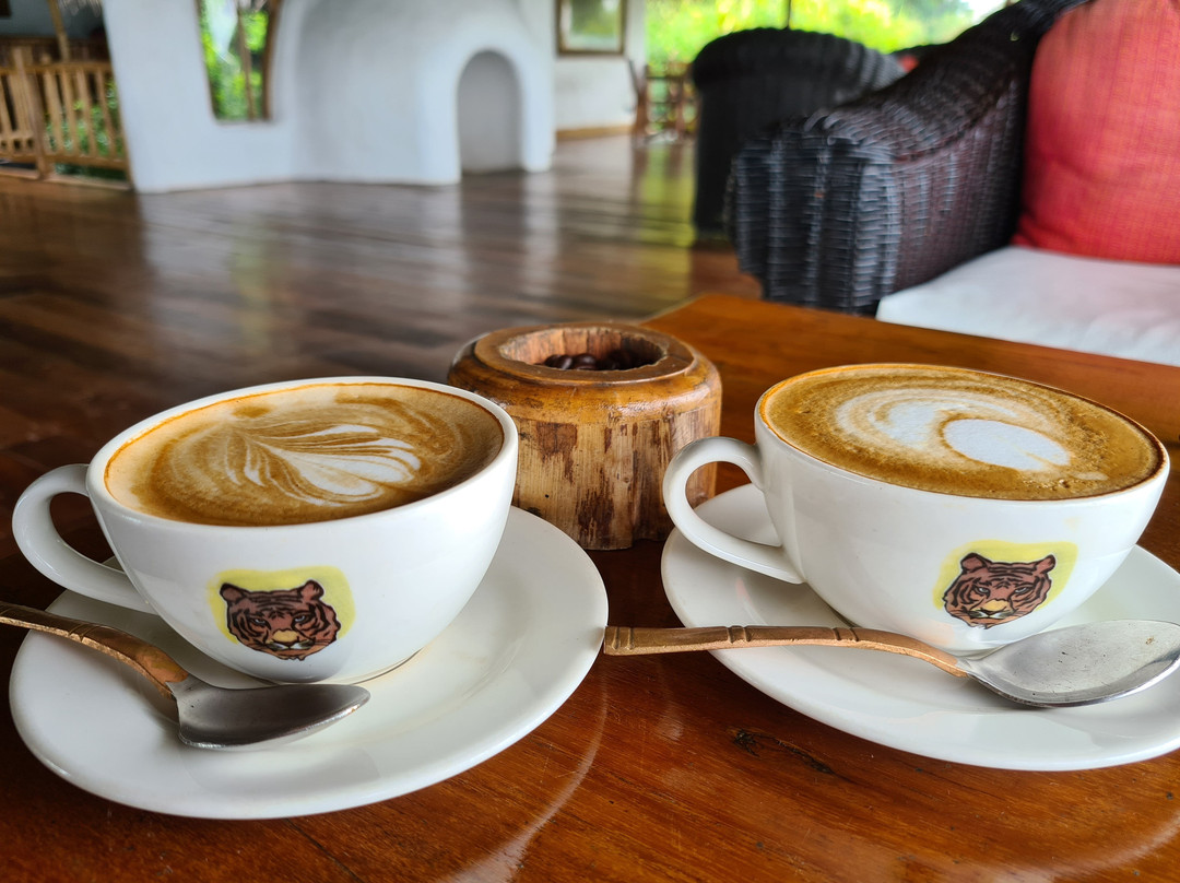 Evolve Back, Kabini主图