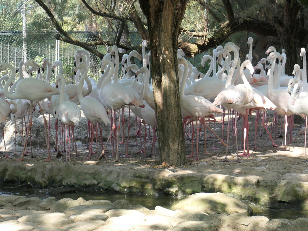 Il Villaggio delle Cicogne景点图片