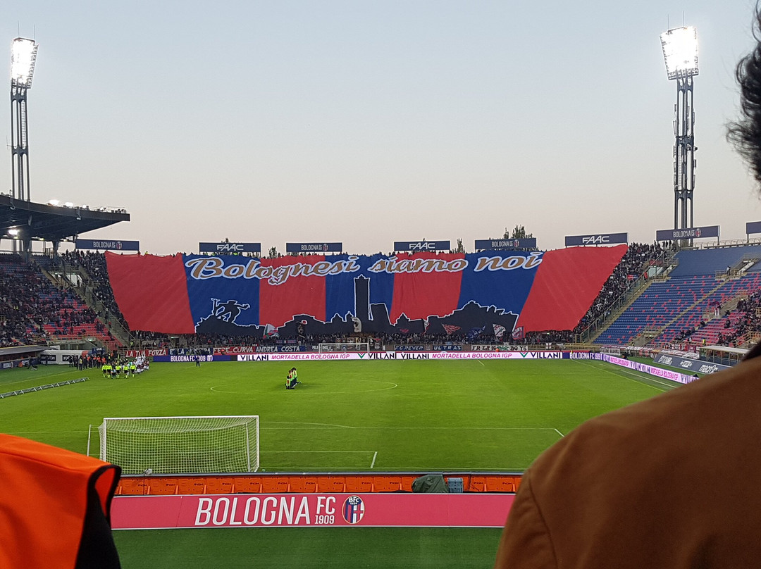 Renato Dall'Ara Stadium景点图片