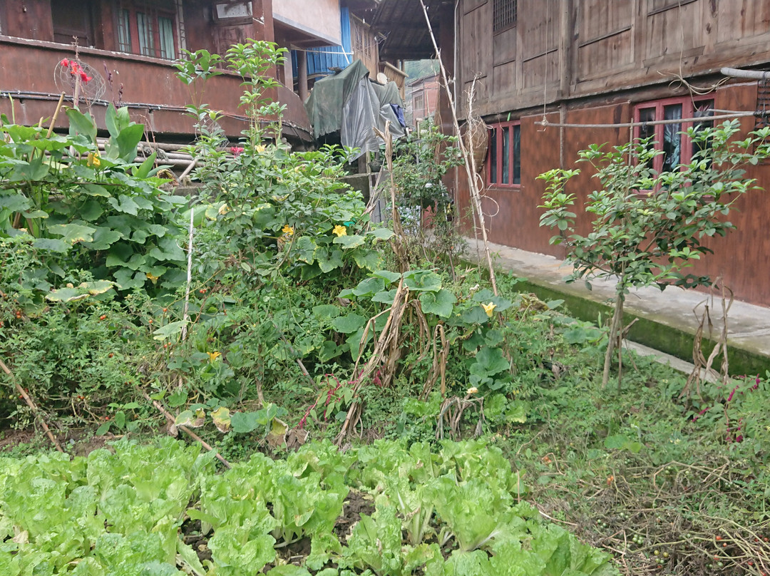 青曼苗寨景点图片