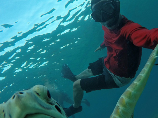 Island Reef Tours-法哈多必去景点