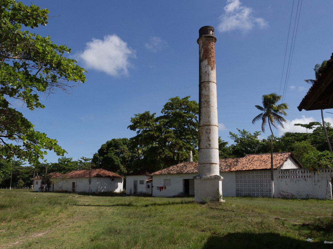 Casa Do Conselheiro Joao Alfredo.景点图片