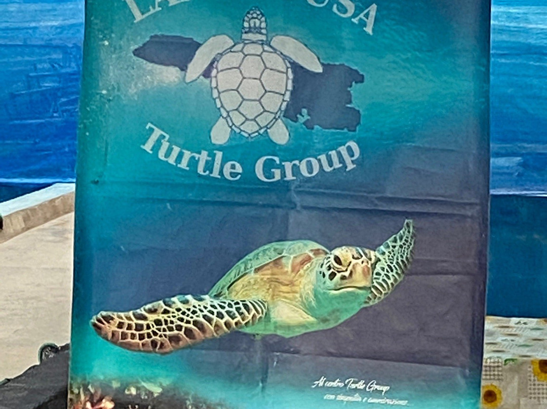 Lampedusa Turtle Rescue-兰佩杜萨必去景点