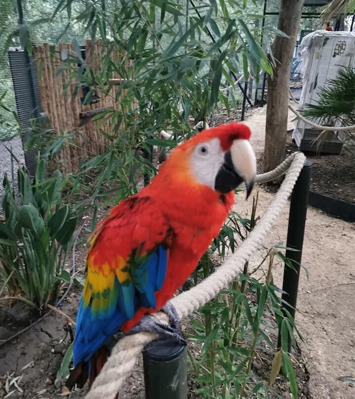 Happy Forest景点图片