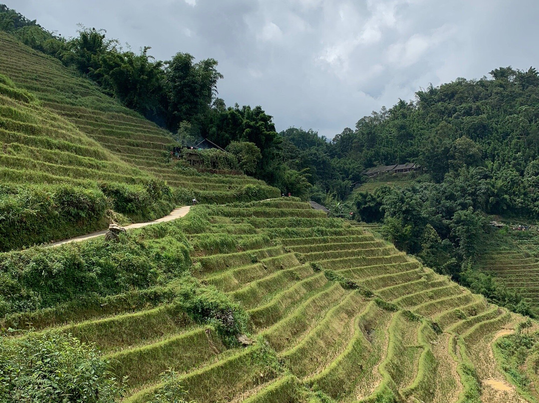 Sisi Sapa Tour Guide-沙巴必去景点