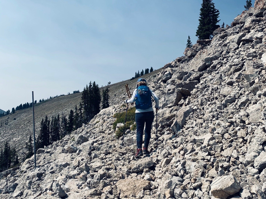 Rendezvous Mountain-杰克逊必去景点