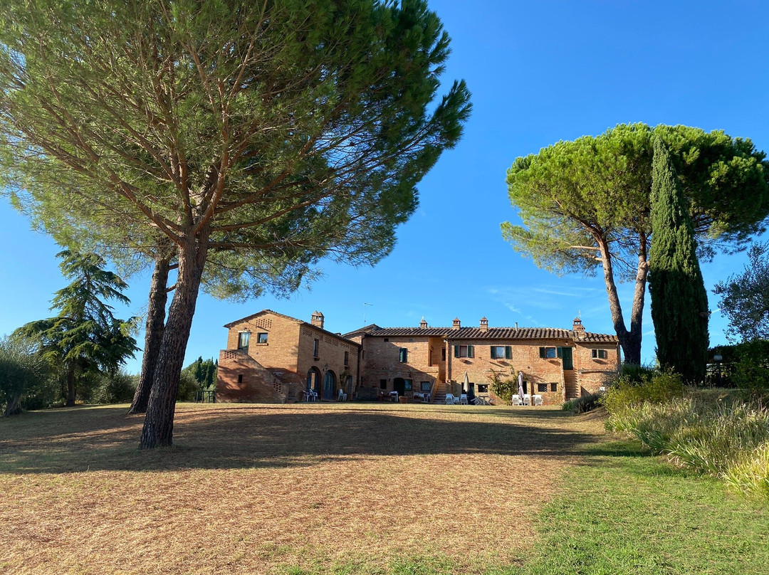 Costalpino旅游攻略图片