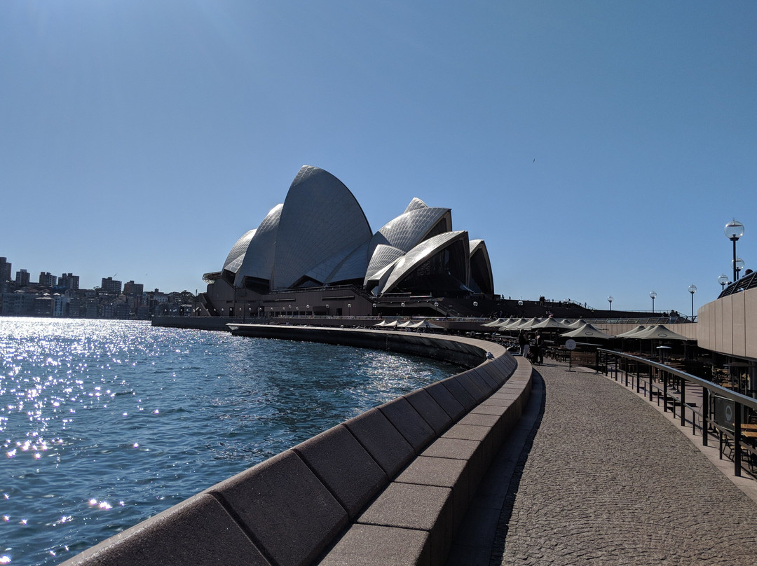24 Hours In Sydney景点图片