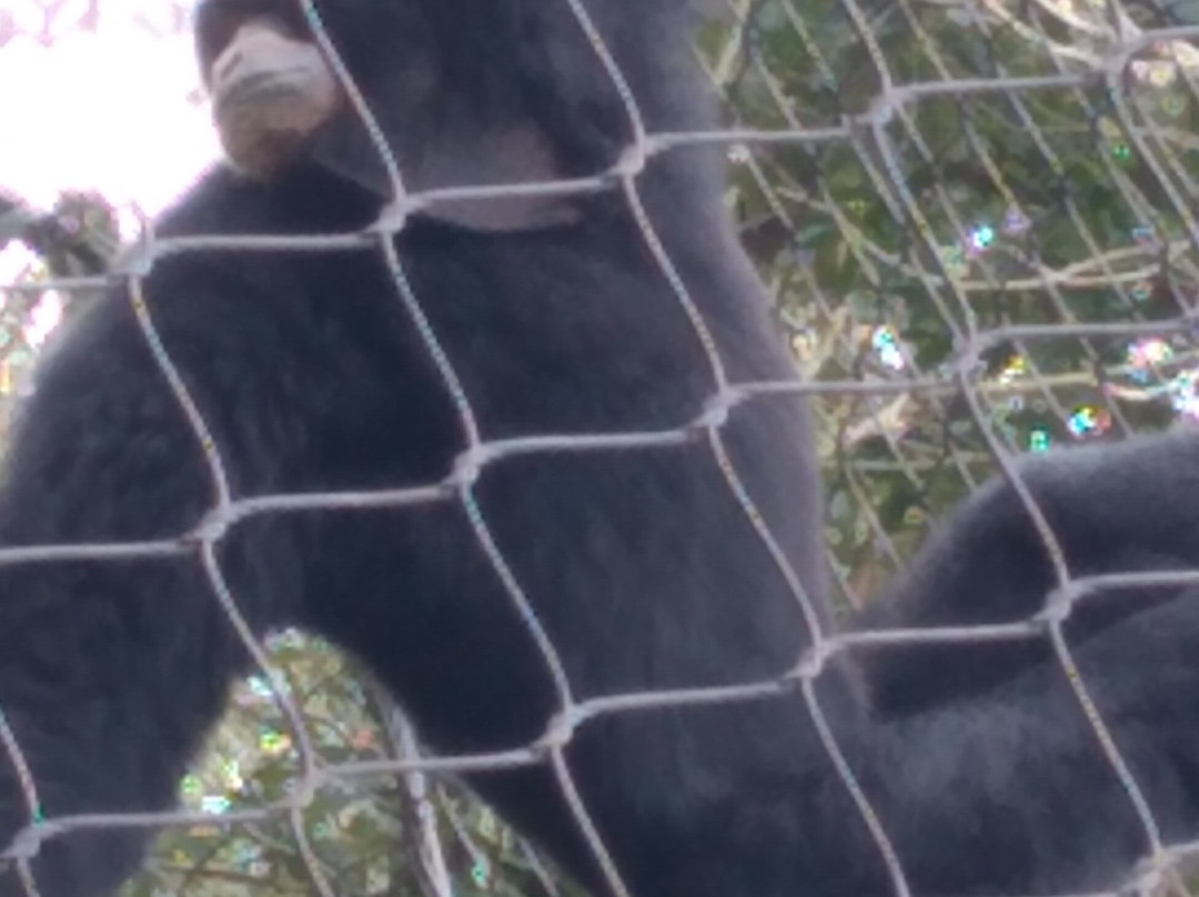 Baton Rouge Zoo-巴吞鲁日必去景点