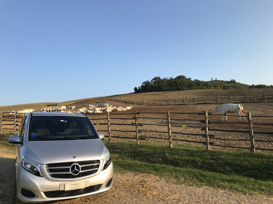 Car Rental Il Girasole-科尔托纳必去景点