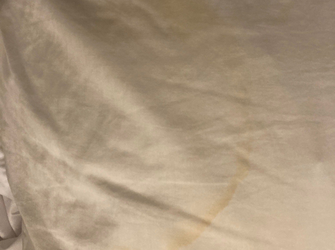 Western Star Inn & Suites Melita主图