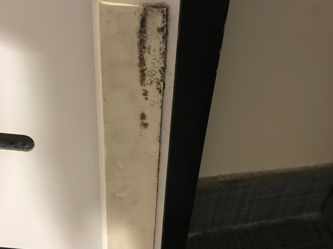 Holiday Inn Express & Suites Havelock Nw-new Bern By IHG主图