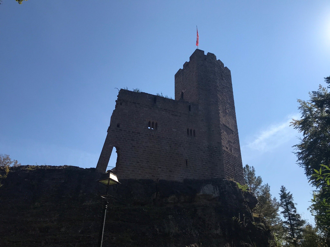 Chateau du Wangenbourg景点图片