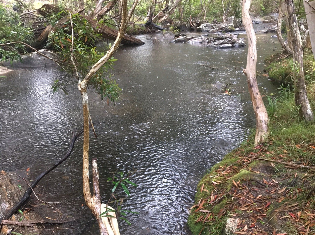 Davies Creek National Park-马里巴必去景点
