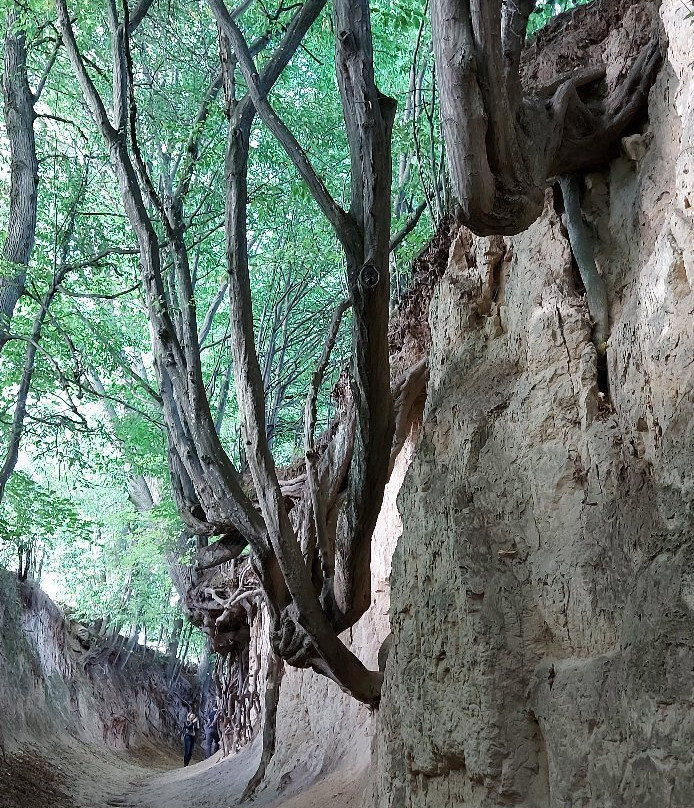 Korzeniowy Dol Gorge景点图片