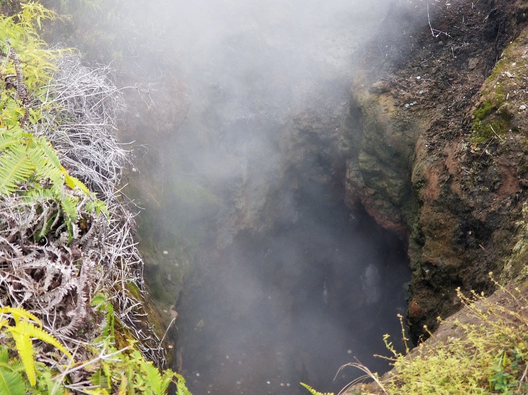 Steam Vents-帕霍亚必去景点