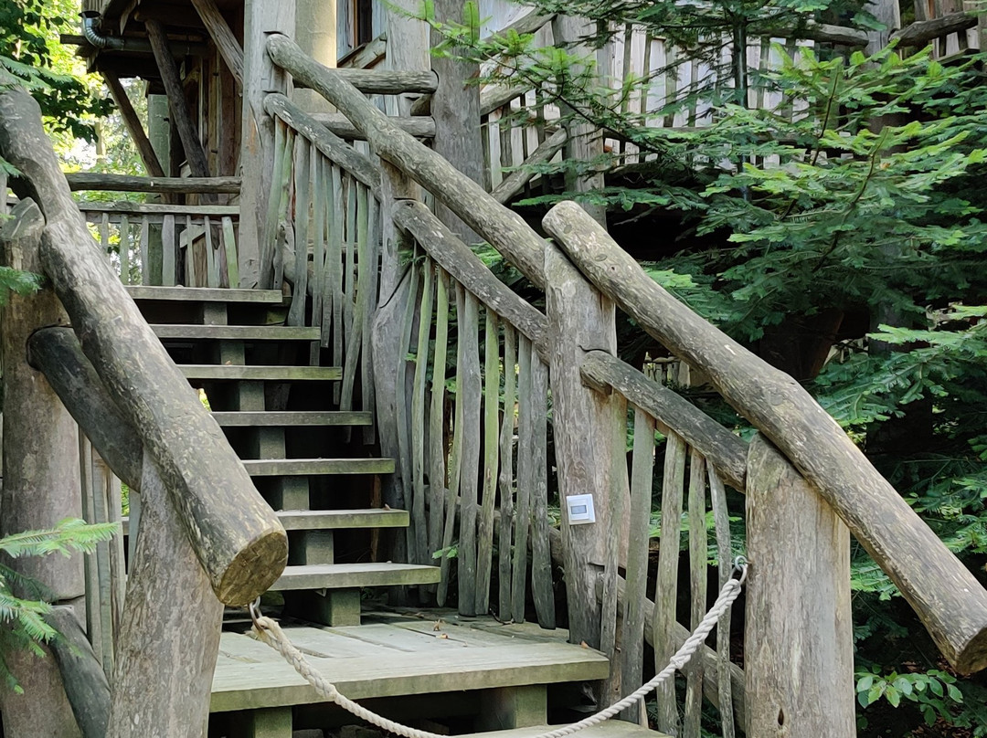 Erlebnispark Tripsdrill Natur-Resort主图