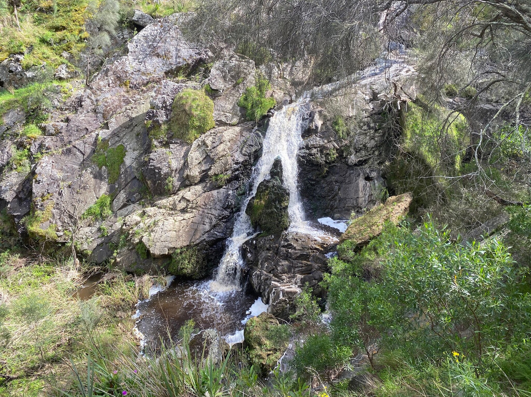 Hindmarsh Falls景点图片