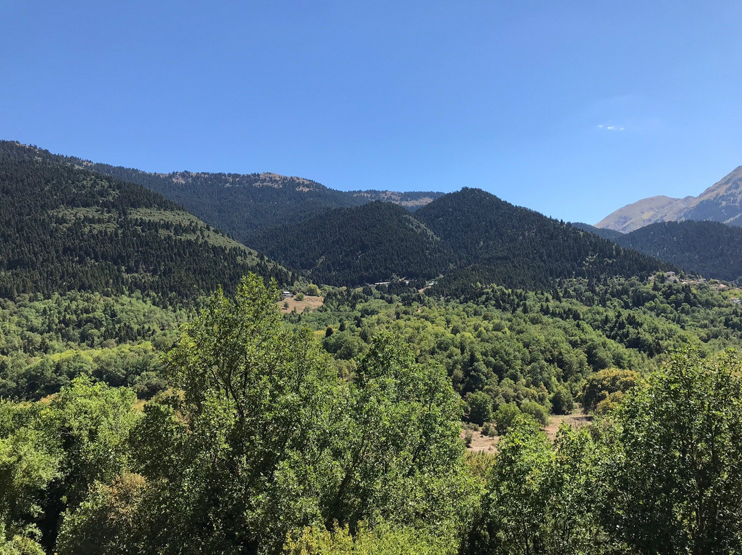 Rizoma Guesthouse主图