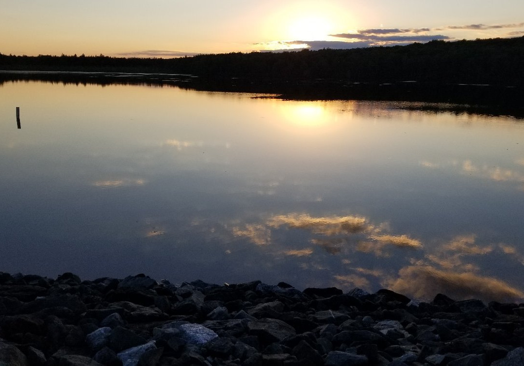 Tobyhanna State Park景点图片