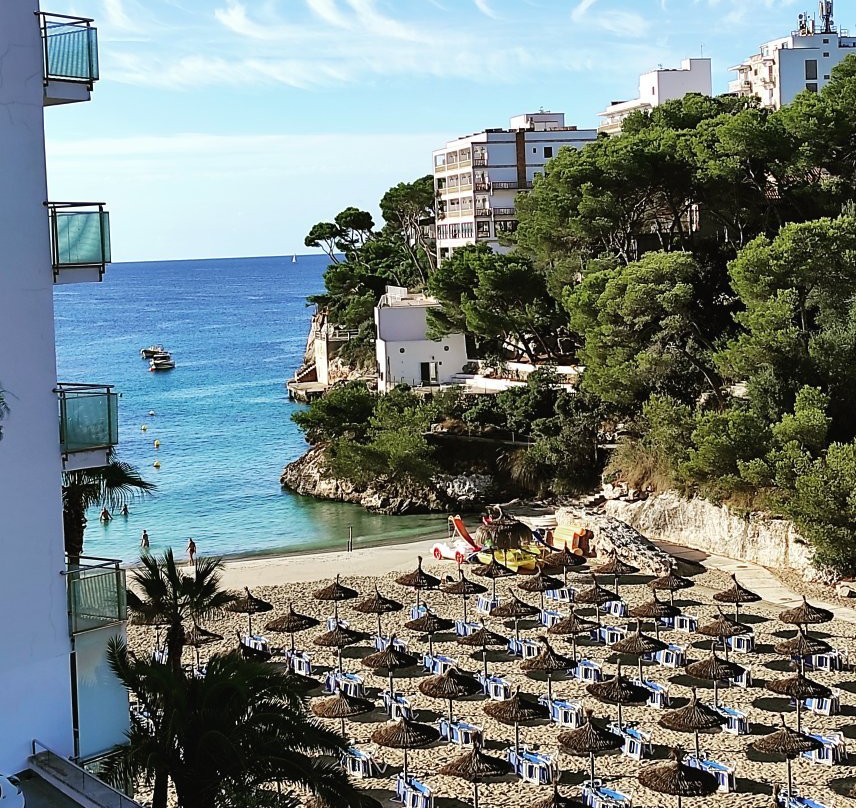 Hotel Cala Santanyi & Apartamentos主图