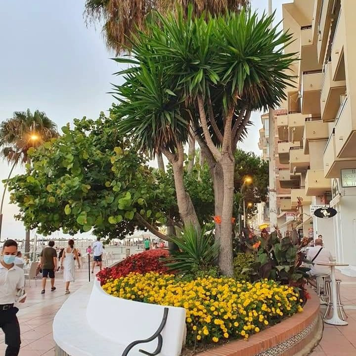 Paseo Maritimo de Estepona-埃斯特波纳必去景点