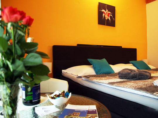 Penzion Alfa Podebrady主图