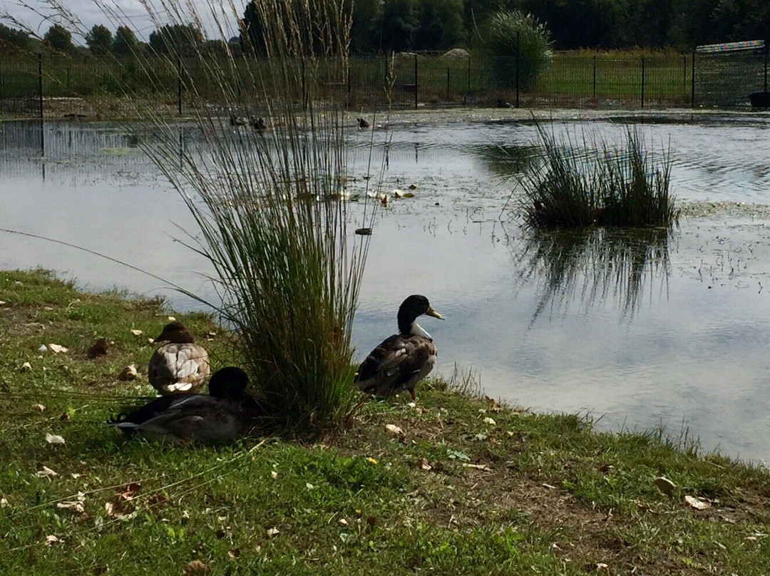 L'Echo des 2 Baies主图